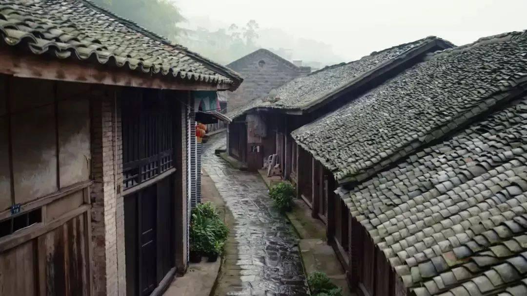 煮猪肉的正确方法游戏画面